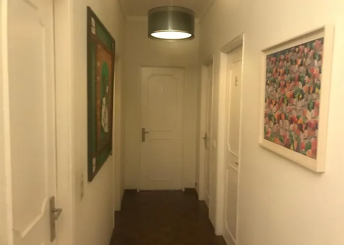 Miguel Torga Coimbra